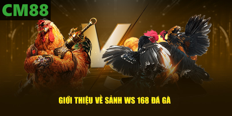 Sơ lược về Ws168 đá gà